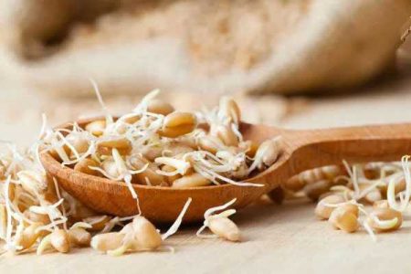 جوانه گندم برای صفراوی ها