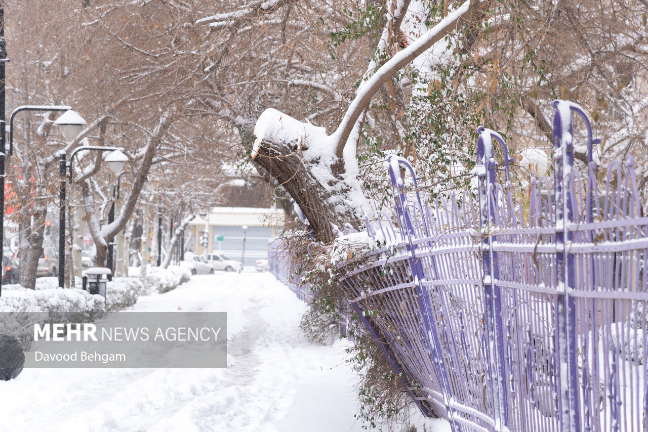 پیش بینی کولاک برف در برخی نواحی خراسان رضوی - خبرگزاری مهر | اخبار ایران و جهان