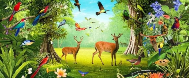 پوشش گیاهی و جانوری پارک ملی بنف – شناخت اکوسیستم و گونه ها