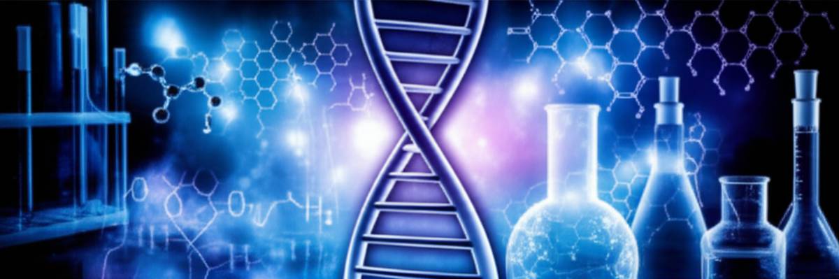 خلاصه کتاب کالبدشکافی و آنالیز شیمی 2 (مریم گودرزی)