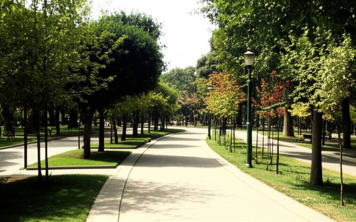 خلاصه کتاب پیاده روهای پارک لاله، سکوی دوم | رویا هدایتی