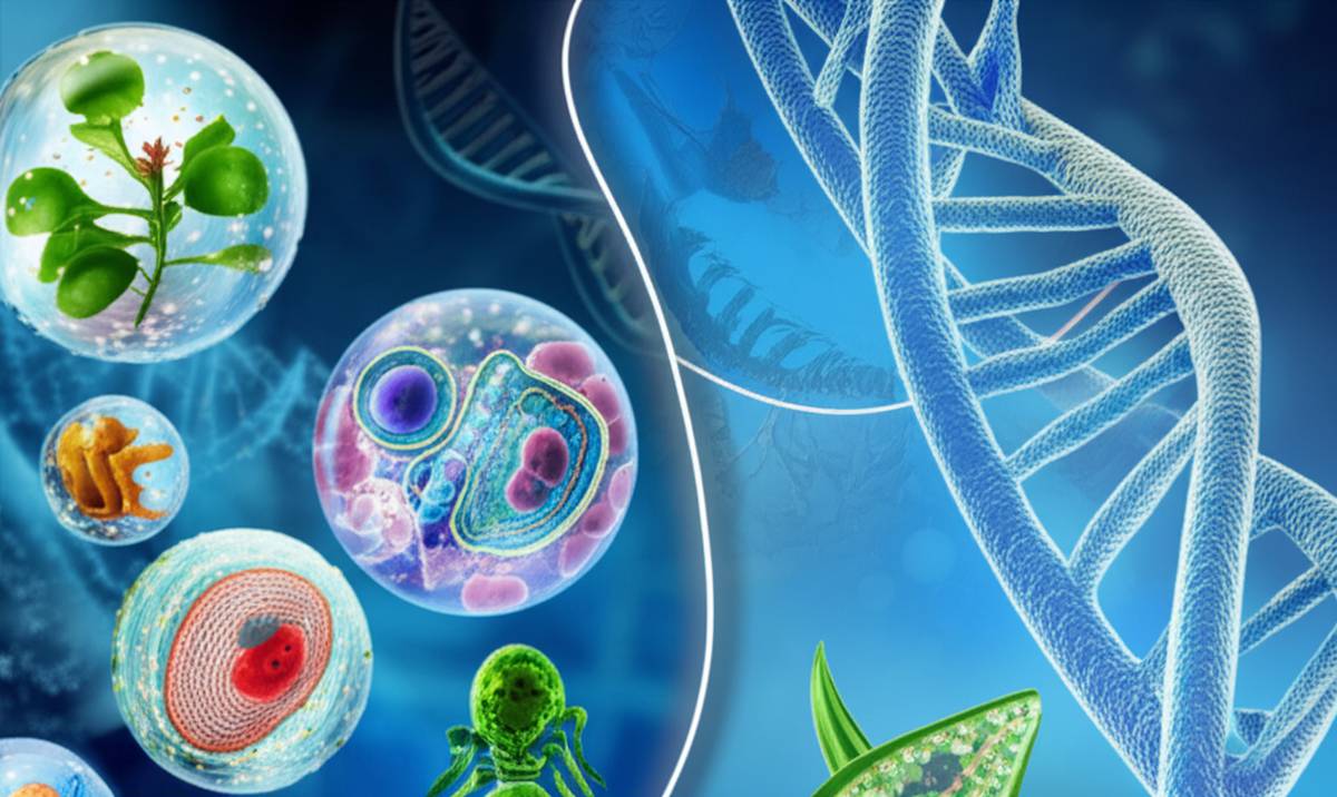 بهترین دبیران زیست کنکور ۱۴۰۳ | افزایش درصد با اساتید برتر