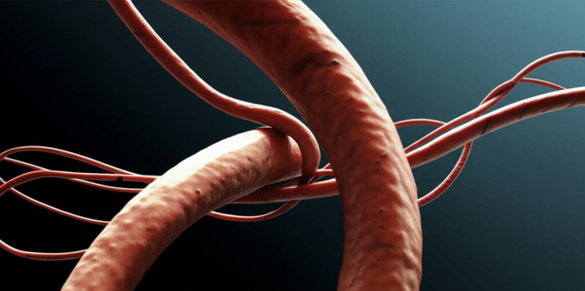 خلاصه کتاب بند ناف اثر آتوسا خداداد | بررسی کامل و نکات مهم